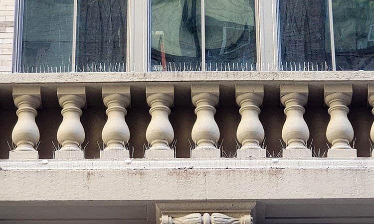 exterior-building-services-florida